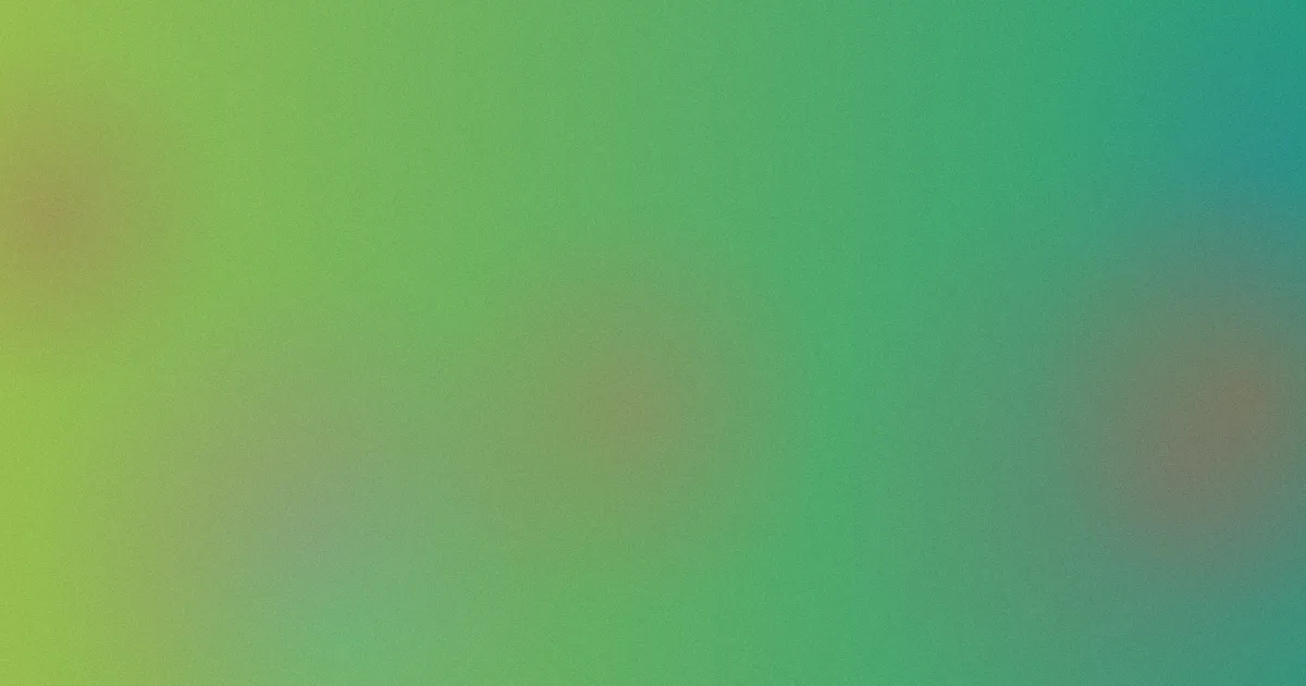 二宫和香测评避坑流程